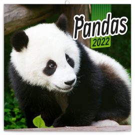 Poznámkový kalendář Pandy 2022, 30 × 30 cm