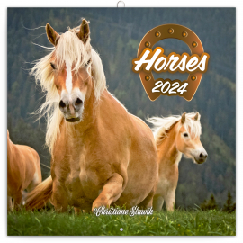Poznámkový kalendář Koně – Christiane Slawik 2024, 30 × 30 cm