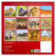Poznámkový kalendář Divoká Afrika 2022, 30 × 30 cm