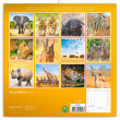 Poznámkový kalendář Divoká Afrika 2023, 30 × 30 cm