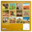 Poznámkový kalendár Divoká Afrika 2024, 30 × 30 cm