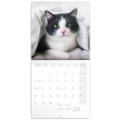 Poznámkový kalendář Kočky 2022, 30 × 30 cm
