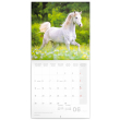 Poznámkový kalendář Koně – Christiane Slawik 2023, 30 × 30 cm