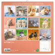 Poznámkový kalendár Mačiatka 2024, 30 × 30 cm