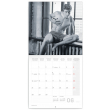 Poznámkový kalendár Muži 2021, 30 × 30 cm