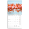 Poznámkový kalendář Plameňáci 2022, 30 × 30 cm