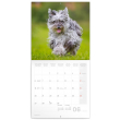 Poznámkový kalendář Psi 2022, 30 × 30 cm