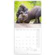 Poznámkový kalendár Šťastní slony 2023, 30 × 30 cm