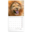 Poznámkový kalendár Úsmev, prosím 2024, 30 × 30 cm