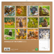 Poznámkový kalendár Zvieratká z lesa 2024, 30 × 30 cm