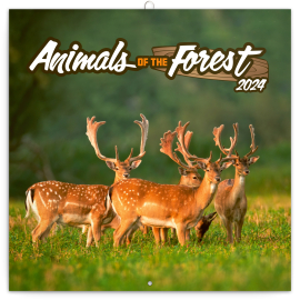 Poznámkový kalendář Zvířátka z lesa 2024, 30 × 30 cm
